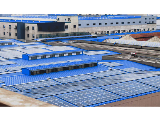 Plants: image 1 0f 4 thumb