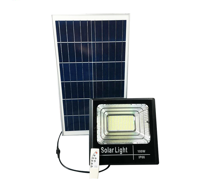 Plants: image 1 0f 4 thumb